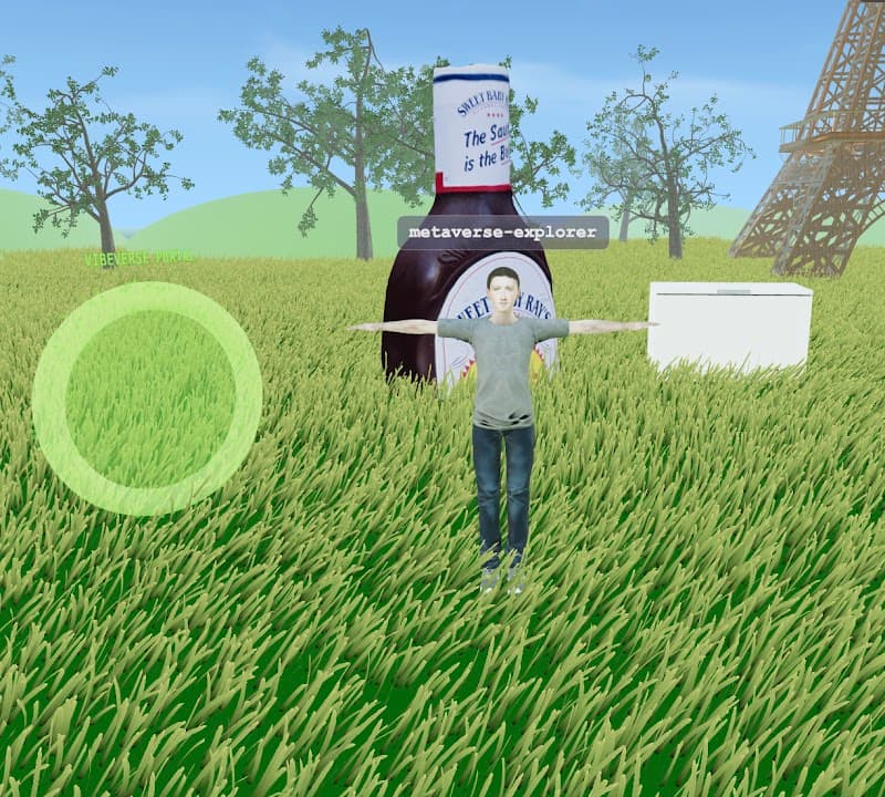 the vibe metaverse
